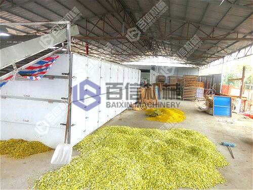 懷菊花烘干設備現(xiàn)場